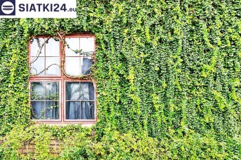 Siatki Zdzieszowice - Siatka z dużym oczkiem - wsparcie dla roślin pnących na altance, domu i garażu dla terenów Zdzieszowic